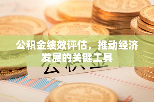 中国澳门公积金绩效评估，推动经济发展的关键工具